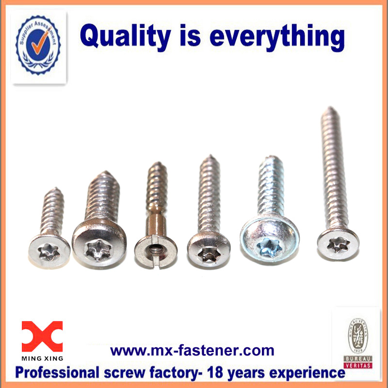 Kinds of self-tapping screws taping screw manufacturer
