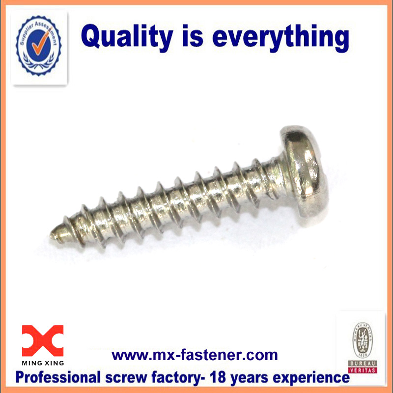 Stainless steel phillips pan head self tapping screw
