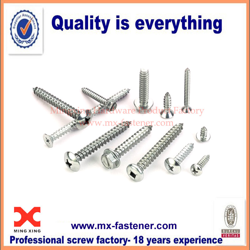 Various kinds of metal tapping screws