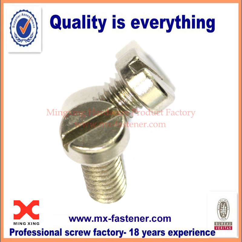 Stainless steel slotted cheese screw