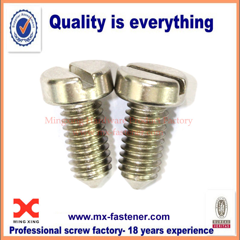 Stainless steel slotted cheese screws