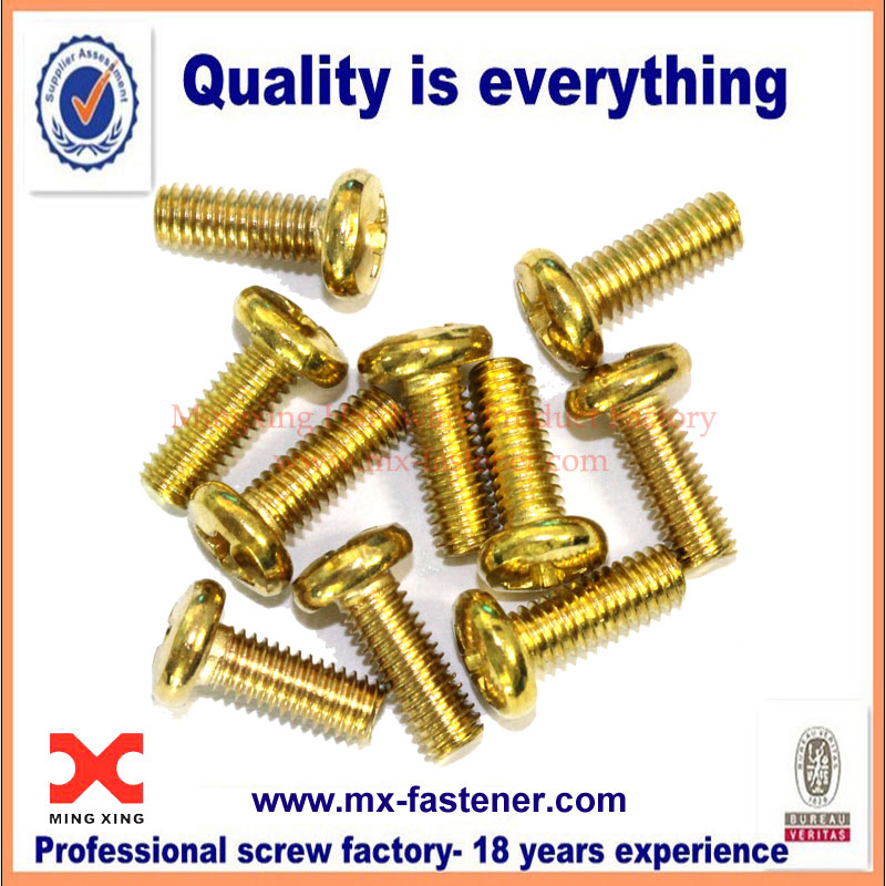 Brass coating small screw for electronics