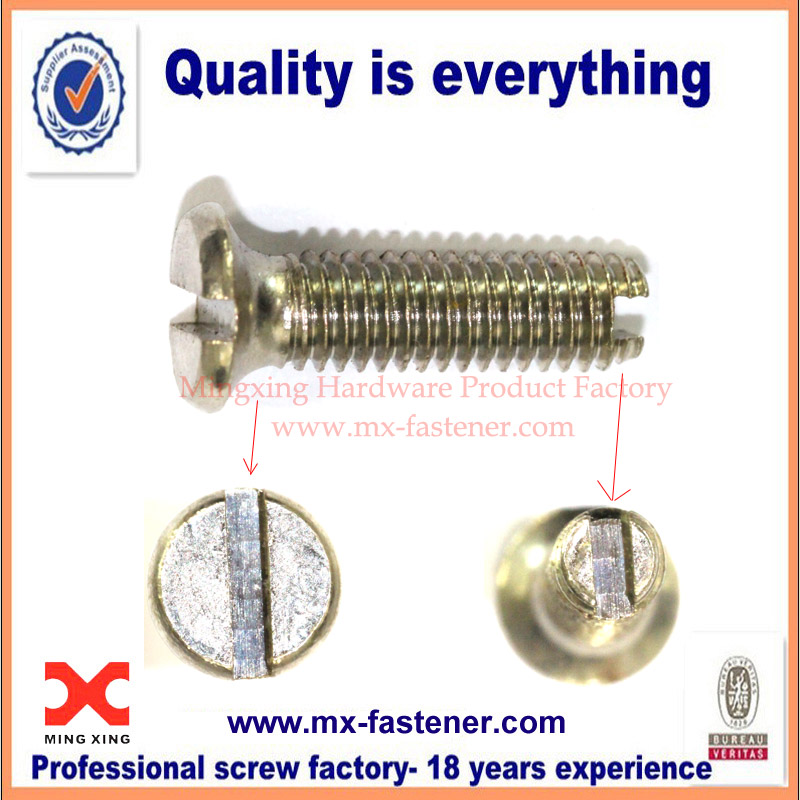 Stainless steel customized double slot screws