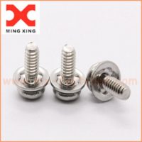 Crest cup washer screw stainless steel